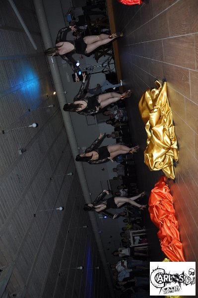 DSC_0164