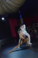 _DSC6938