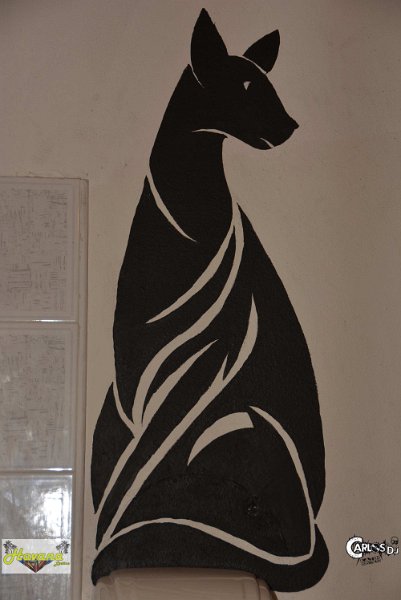 Image00435