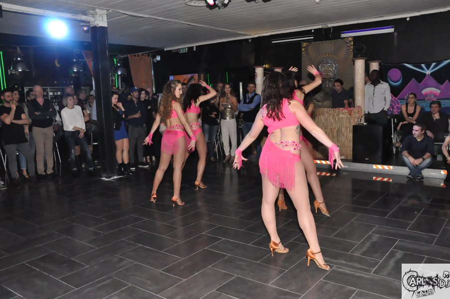 DSC_0461