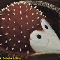 Image00139