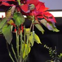 Image00006