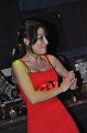 DSC_8051