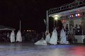 DSC_0554